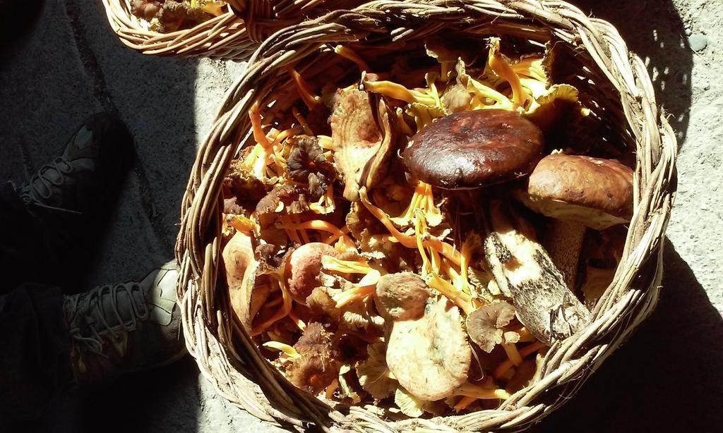La Puebla de Roda El Prau De Vidal I 아파트 외부 사진